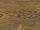 Trojvrstvová podlaha Esco Karel IV Mustard Grey 15 x 190