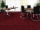 Vizualizácia Hotelový koberec Halbmond 73-5 Qstep 2 šírka 4m