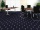 Vizualizácia Hotelový koberec Halbmond 81-6 Qstep 2 šírka 4m
